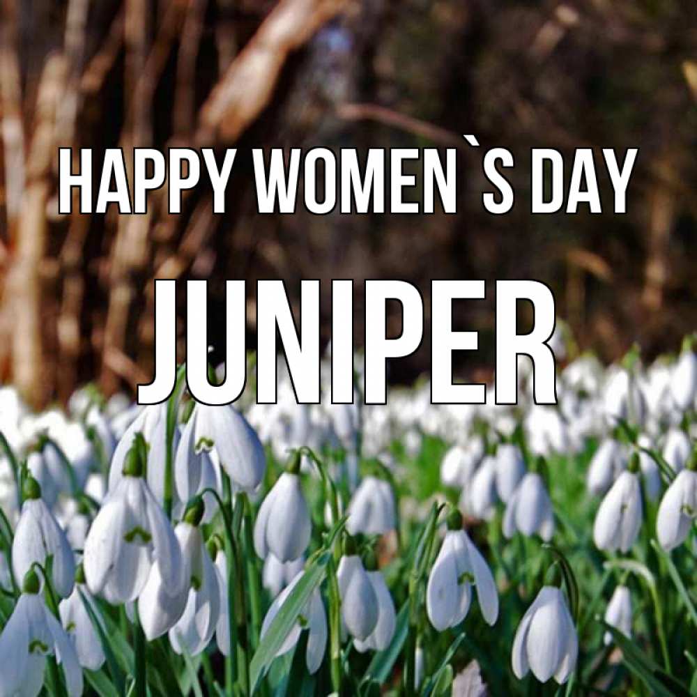 Greetings card с именем, Juniper happy women`s day с подснежниками 1 Greetings with text for free download 